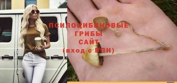 СК Абаза